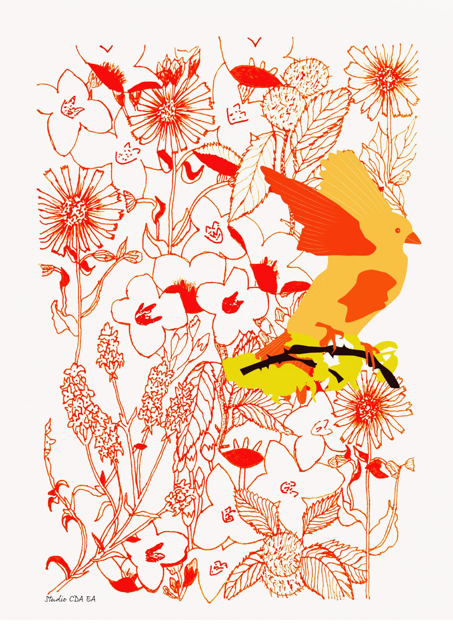 Réalisation illustration thème Les Vosges oiseau bleu, fleurs et plantes.